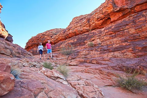 Kings Canyon Day Trip From Ayers Rock - Accommodation Bookings 31