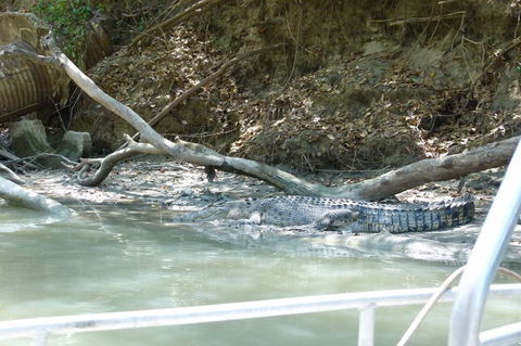 Kakadu Full-Day Tour From Darwin With Lunch - Accommodation Bookings 2