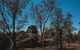 Kakadu Full-Day Tour From Darwin With Lunch - thumb 6