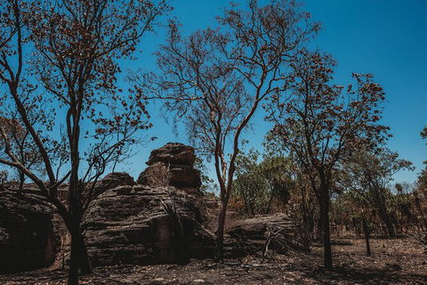 Kakadu Full-Day Tour From Darwin With Lunch - Accommodation Bookings 6