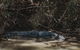 Kakadu Full-Day Tour From Darwin With Lunch - thumb 13