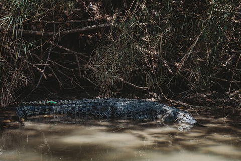 Kakadu Full-Day Tour From Darwin With Lunch - Accommodation Bookings 13