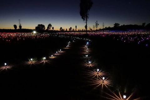 Uluru Field Of Light Sunrise Tour - Accommodation Bookings 2