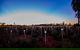 Uluru Field Of Light Sunrise Tour - thumb 8