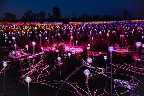 Uluru Field Of Light Sunrise Tour - Accommodation Bookings 13