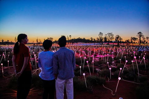 Uluru Field Of Light Sunrise Tour - Accommodation Bookings 5