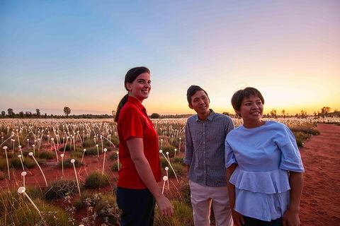 Uluru Field Of Light Sunrise Tour - Accommodation Bookings 11