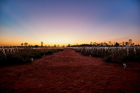 Uluru Field Of Light Sunrise Tour - Accommodation Bookings 14