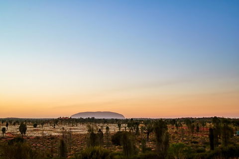 Uluru Field Of Light Sunrise Tour - Accommodation Bookings 12