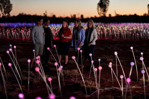 Uluru Field Of Light Sunrise Tour - Accommodation Bookings 10
