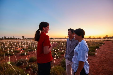 Uluru Field Of Light Sunrise Tour - Accommodation Bookings 9