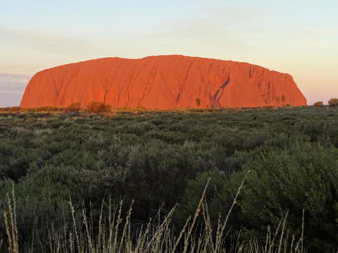 Uluru (Ayers Rock) Sunset With Outback Barbecue Dinner And Star Tour - Accommodation Bookings 5