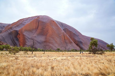 Uluru Base And Sunset Half-Day Trip With Optional Outback BBQ Dinner - Accommodation Bookings 10