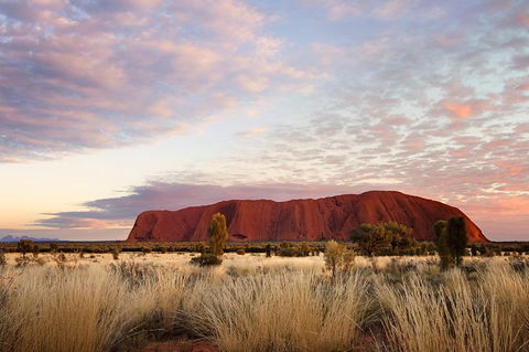 Uluru Base And Sunset Half-Day Trip With Optional Outback BBQ Dinner - Accommodation Bookings 15