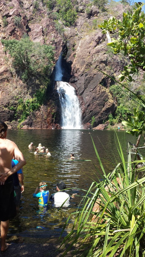 Litchfield National Park Day Tour From Darwin - Accommodation Bookings 2