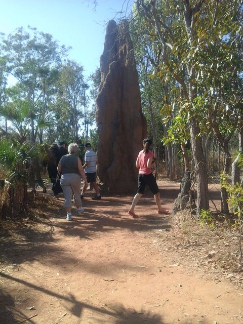 Litchfield National Park Day Tour From Darwin - Accommodation Bookings 14