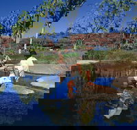 Palm Valley 4WD Tour - Accommodation Bookings