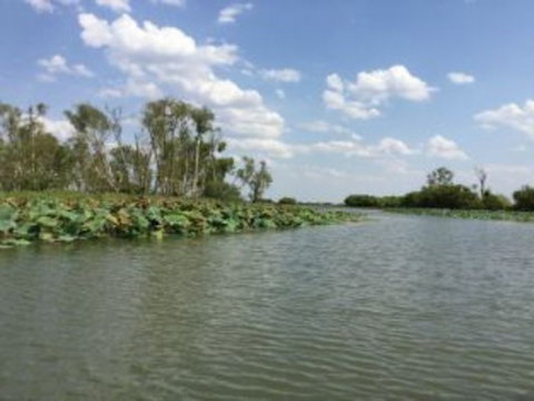 1 Day Corroboree Billabong Wetland Experience Including 2.5 Hour Cruise + Lunch - Accommodation Bookings 4