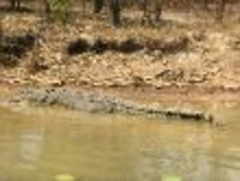 1 Day Corroboree Billabong Wetland Experience Including 2.5 Hour Cruise + Lunch - Accommodation Bookings 6