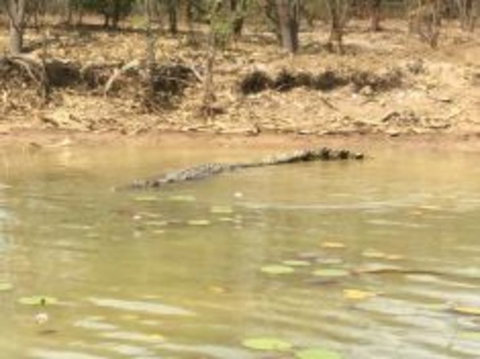 1 Day Corroboree Billabong Wetland Experience Including 2.5 Hour Cruise + Lunch - Accommodation Bookings 5