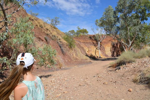 West MacDonnell Ranges Small-Group Full-Day Guided Tour - Accommodation Bookings 2