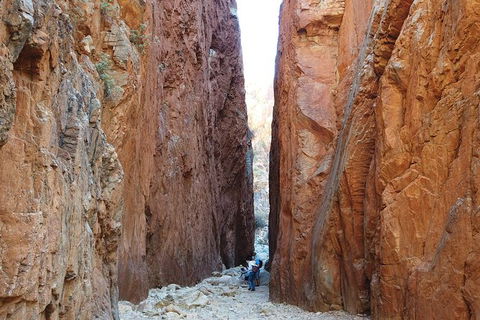 West MacDonnell Ranges Small-Group Full-Day Guided Tour - Accommodation Bookings 6