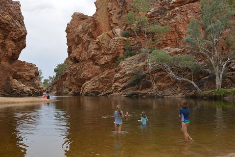 West MacDonnell Ranges Small-Group Full-Day Guided Tour - Accommodation Bookings 4