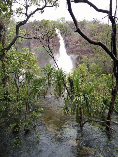 Small-Group Litchfield National Park Day Trip From Darwin - Accommodation Bookings 6