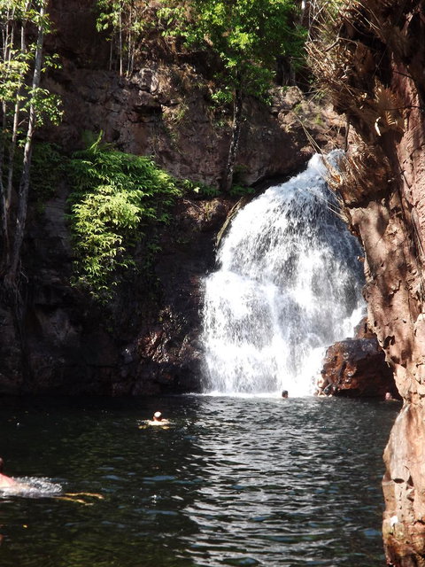 Small-Group Litchfield National Park Day Trip From Darwin - Accommodation Bookings 13