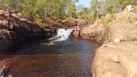 Small-Group Litchfield National Park Day Trip From Darwin - Accommodation Bookings 12