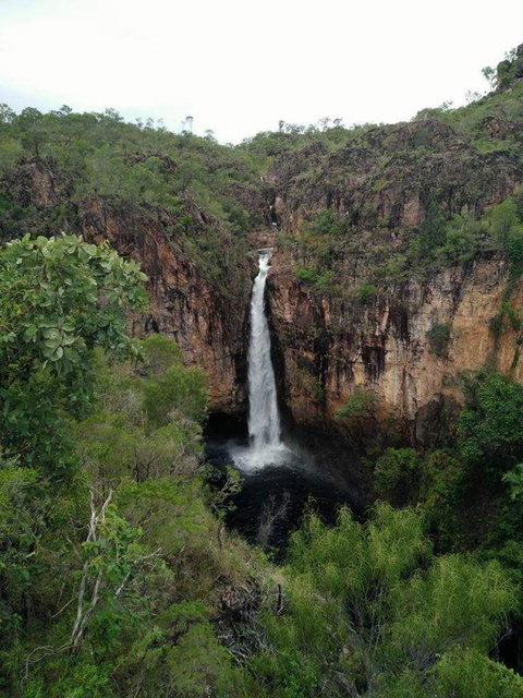 Small-Group Litchfield National Park Day Trip From Darwin - Accommodation Bookings 5