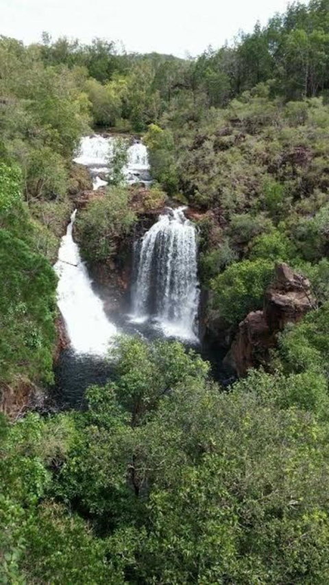 Small-Group Litchfield National Park Day Trip From Darwin - Accommodation Bookings 7