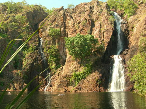 Small-Group Litchfield National Park Day Trip From Darwin - Accommodation Bookings 15