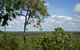 Small-Group Litchfield National Park Day Trip From Darwin - thumb 8