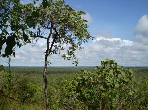 Small-Group Litchfield National Park Day Trip From Darwin - Accommodation Bookings 8