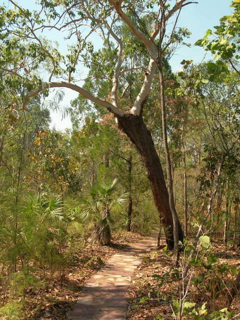 Small-Group Litchfield National Park Day Trip From Darwin - Accommodation Bookings 14