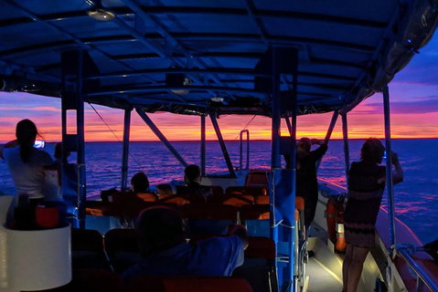 Darwin Sunset Cruise, Including Fish \'n\' Chips - Accommodation Bookings 9