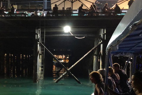 Darwin Sunset Cruise, Including Fish \'n\' Chips - Accommodation Bookings 8