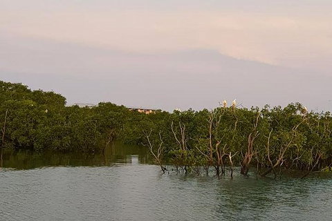 1-Hour Darwin Harbour Highlights Cruise - Accommodation Bookings 7