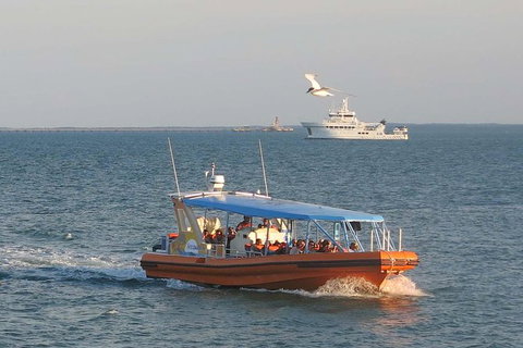 1-Hour Darwin Harbour Highlights Cruise - Accommodation Bookings 2