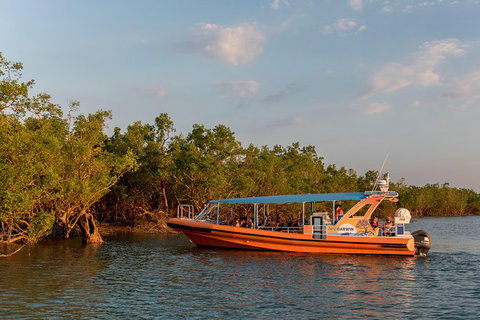 1-Hour Darwin Harbour Highlights Cruise - Accommodation Bookings 3