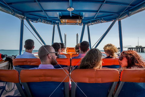 1-Hour Darwin Harbour Highlights Cruise - Accommodation Bookings 6