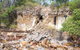 Bombing Of Darwin World War II Tour With Harbour Cruise - thumb 12