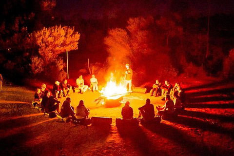 4-Day Red Centre Camping Safari From Alice Springs Or Ayers Rock Including Kings Canyon - Accommodation Bookings 0