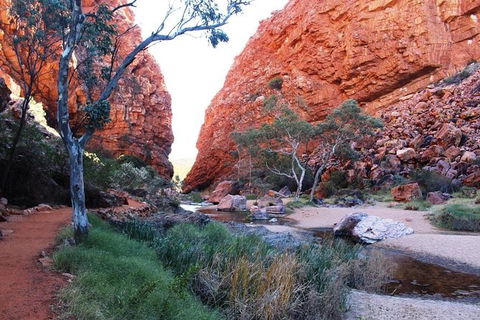 Half Day MacDonnell Ranges Small Group - Private Guided Tour - Accommodation Bookings 0