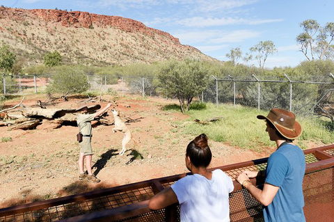 Alice Springs Desert Park General Entry Ticket - Accommodation Bookings 9