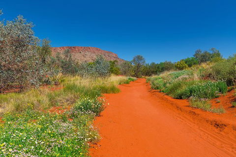 Alice Springs Desert Park General Entry Ticket - Accommodation Bookings 7