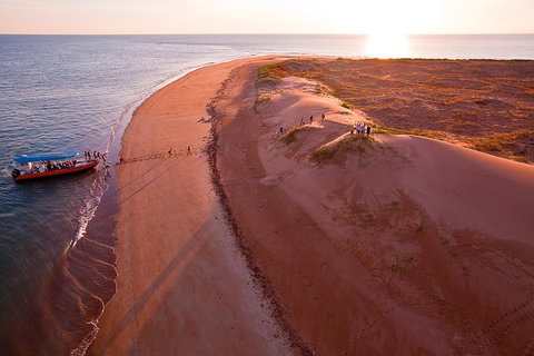Turtle Tracks Tour To Bare Sand Island From Darwin - Accommodation Bookings 6