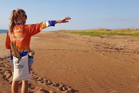 Turtle Tracks Tour To Bare Sand Island From Darwin - Accommodation Bookings 7