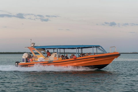 Turtle Tracks Tour To Bare Sand Island From Darwin - Accommodation Bookings 5